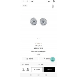 Tiffany Jewelry Earrings