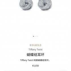 Tiffany Jewelry Earrings