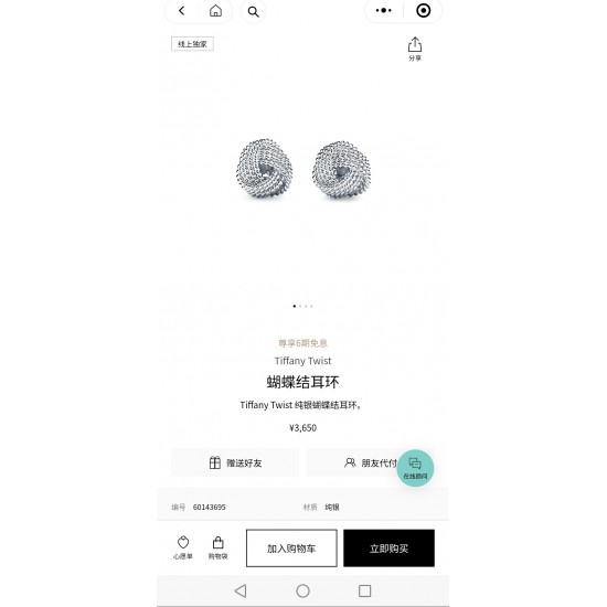 Tiffany Jewelry Earrings