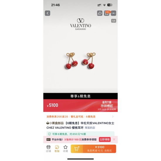 Valentino Jewelry Necklace