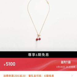 Valentino Jewelry Necklace