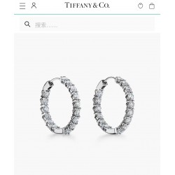 Tiffany Jewelry Earrings