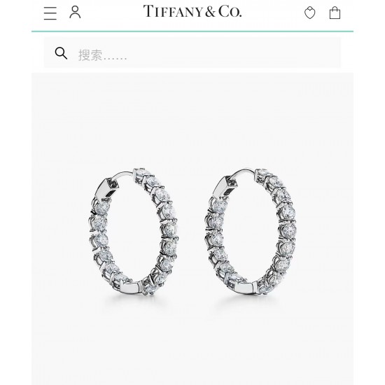 Tiffany Jewelry Earrings
