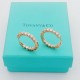 Tiffany Jewelry Earrings