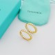 Tiffany Jewelry Earrings