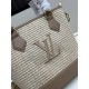 LV Bags High Quality HandBag
